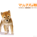玛丽和幼犬的故事/A Tale of Mari and Three Puppies(2007)