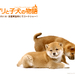 桌面 #07 省略图