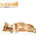 桌面 #10 省略图
