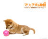 爱犬的奇迹 桌面 #12
