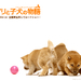 玛丽和幼犬的故事/A Tale of Mari and Three Puppies(2007)