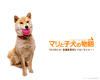 爱犬的奇迹 桌面 #11