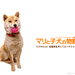 玛丽和幼犬的故事/A Tale of Mari and Three Puppies(2007)