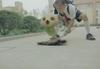 长江7号/CJ7(2007) 电影图片 剧照 #35 省略图