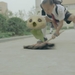 长江7号/CJ7(2007)