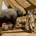 冒牌天神2Evan Almighty(2007)