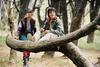 通往特雷比西亚的桥/Bridge to Terabithia(2007)