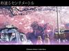 秒速5厘米 桌面 #01B