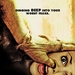 惊声尖笑5Scary Movie 5(2008)