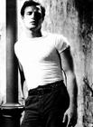 马龙·白兰度/Marlon Brando