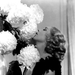 写真 #01：玛丽·碧克馥 Mary Pickford