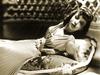 写真 #01：艾达·卢皮诺 Ida Lupino