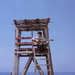 写真 #30 省略图