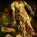 杀死艾瑞儿Killing Ariel(2006)