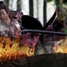 江山美人/An Empress and The Warriors(2008)