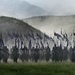 江山美人/An Empress and The Warriors(2008)