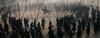江山美人/An Empress and The Warriors(2008) 电影图片 剧照 #96 省略图