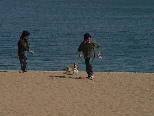 PK.COM.CN(2006)剧照 #16