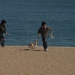 PK.COM.CN(2006)