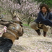 功夫之王/The Forbidden Kingdom(2008)