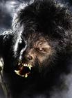 狼人/The Wolf Man