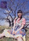 写真 #11：多部未华子 Mikako Tabe