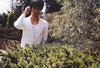 写真 #27：西岛秀俊 Hidetoshi Nishijima