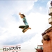 在恒河游蝶泳 海报