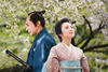 山樱/Yamazakura