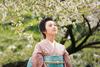 山樱/Yamazakura