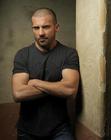 写真 #28：多米尼克·珀塞尔 Dominic Purcell