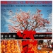 满山红柿Manzan benigaki(2001)