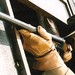 好家伙、坏家伙、怪家伙/The Good, the Bad and the Weird(2008)