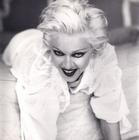 写真 #23：麦当娜 Madonna