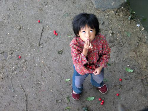 忘不了这双渴望的眼睛~