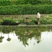 樱桃/Cherries(2007)