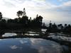 樱桃/Cherries(2007) 电影图片 剧照 #22 省略图