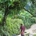 樱桃/Cherries(2007)