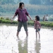 樱桃/Cherries(2007)