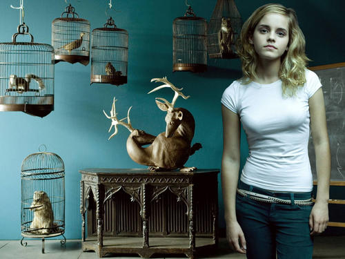 爱玛·沃特森 Emma Watson 写真 #55