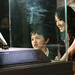 这里发现爱(2007)