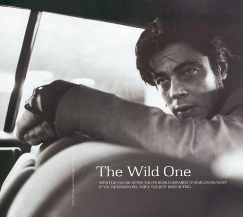 本尼西奥·德尔·托罗 Benicio Del Toro 写真 #44