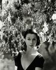 写真 #59：费雯·丽 Vivien Leigh