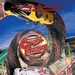 急速赛车/Speed Racer(2008)