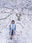 写真 #27：堀北真希 Maki Horikita