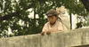 乔斯·安东尼奥·古铁雷斯的短暂一生/Kurze Leben des José Antonio Gutierrez, Das