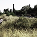 三只猴子Üç maymun(2008)