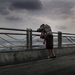 三只猴子/Üç maymun(2008)