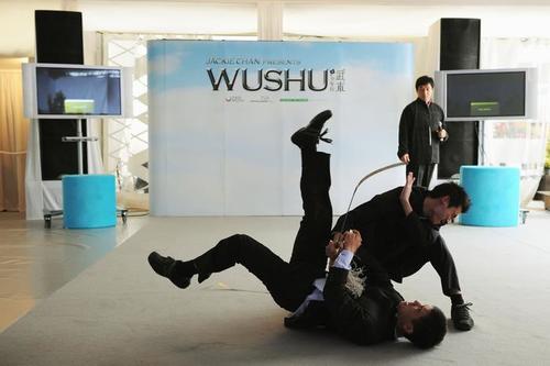 武术/Wushu(2007) 电影图片 工作照 #06 大图 700X466