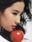 写真 #64：刘亦菲 Yifei Liu